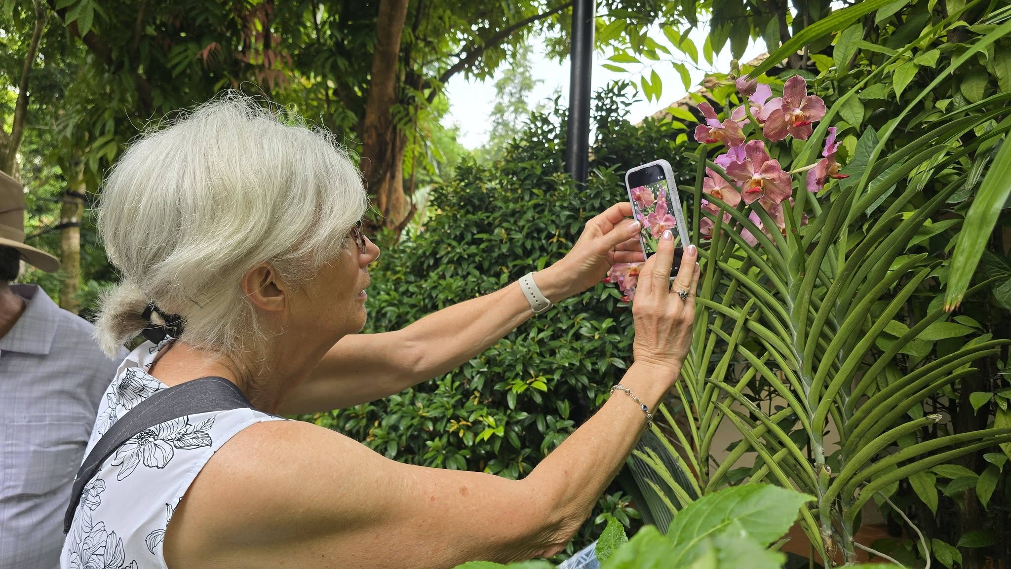 Singapore's UNESCO:  Orchids & Hawker Flavours Secrets — photo 2