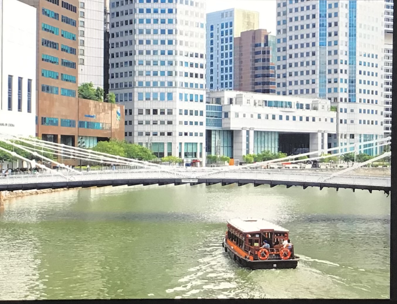 Singapore World Famous Tour (notorious or noteworthy?) — photo 2