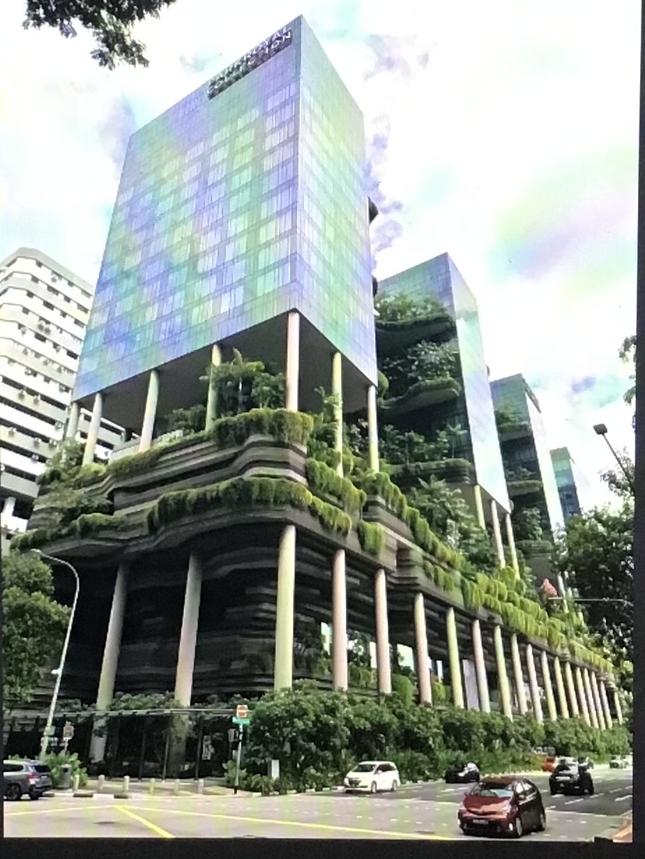 Singapore World Famous Tour (notorious or noteworthy?) — photo 5
